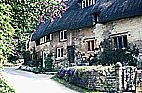 Click on picture for larger version